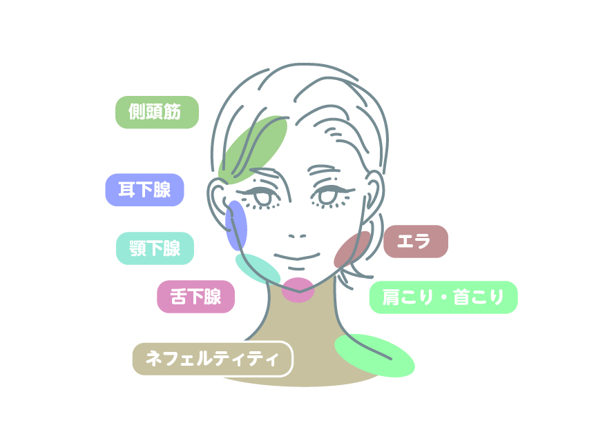 イラスト